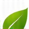 Green leaf eco icon